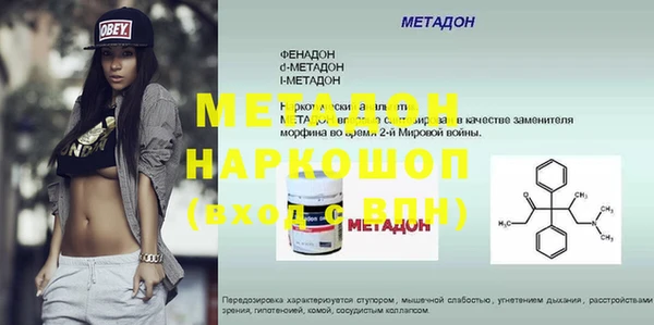 шишки Белокуриха