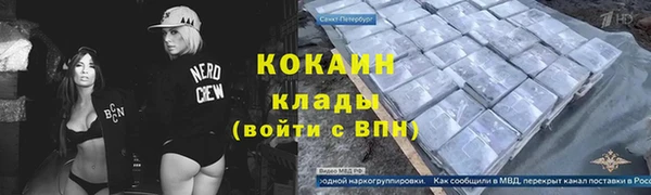 индика Пересвет