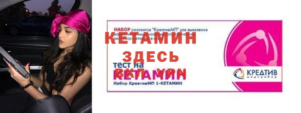 индика Заводоуковск