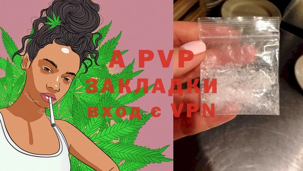 шишки Белокуриха