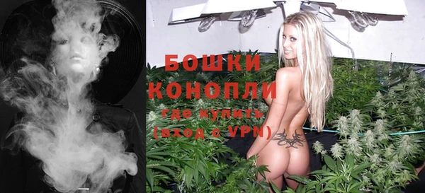 твердый Пестово