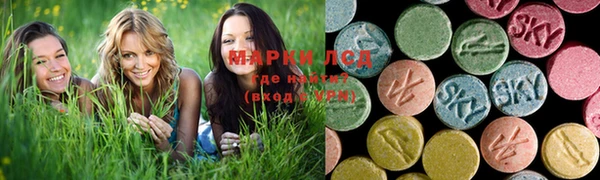 индика Пересвет