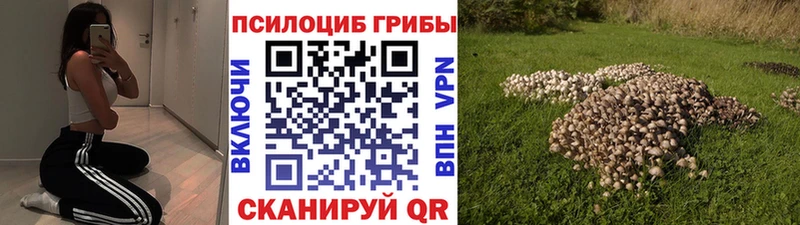 Галлюциногенные грибы MAGIC MUSHROOMS  хочу наркоту  Славгород 